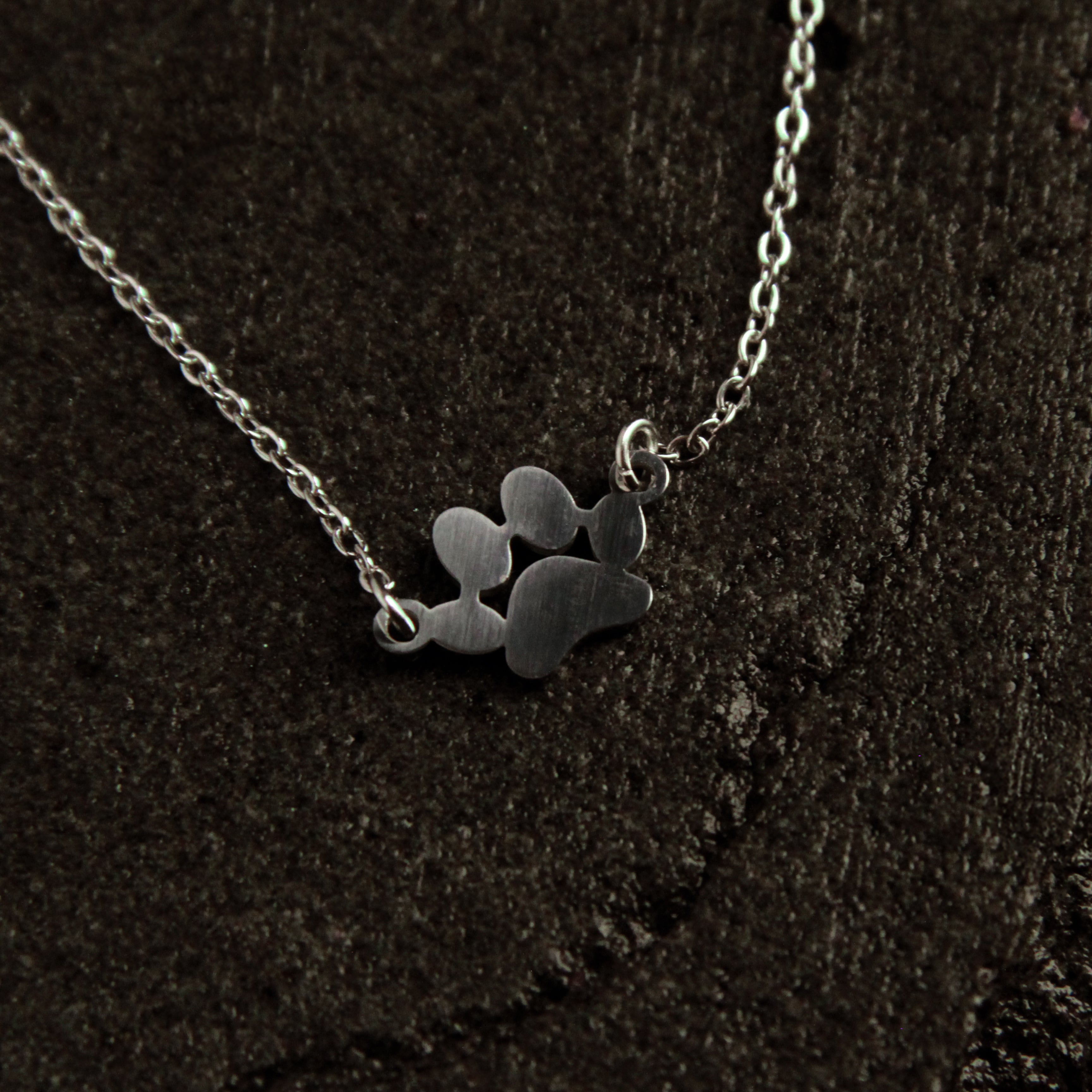 Silver necklace with paw print pendant on a dark textured background